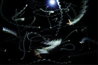 A multiple-exposure photograph of insects circling a light at night.